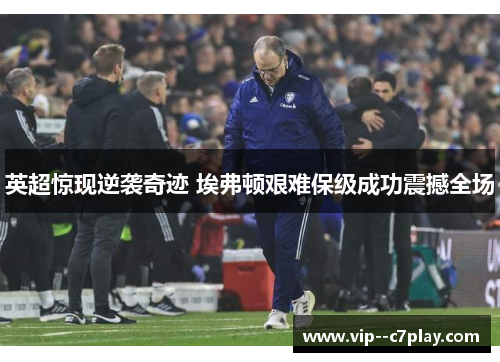 英超惊现逆袭奇迹 埃弗顿艰难保级成功震撼全场 英超惊现逆袭奇迹 埃弗顿艰难保级成功震撼全场