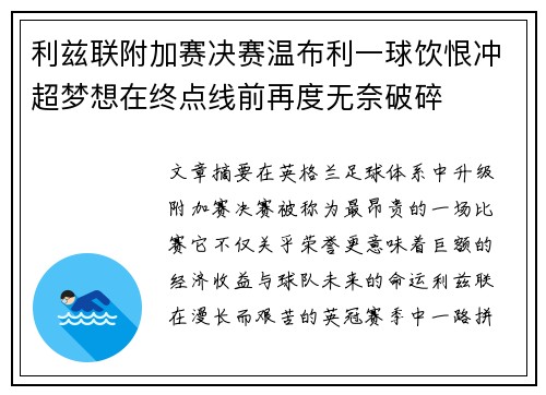 利兹联附加赛决赛温布利一球饮恨冲超梦想在终点线前再度无奈破碎